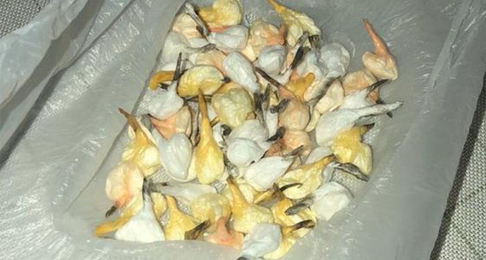 Arrestohen tre shp&euml;rndar&euml;s droge n&euml; Memaliaj