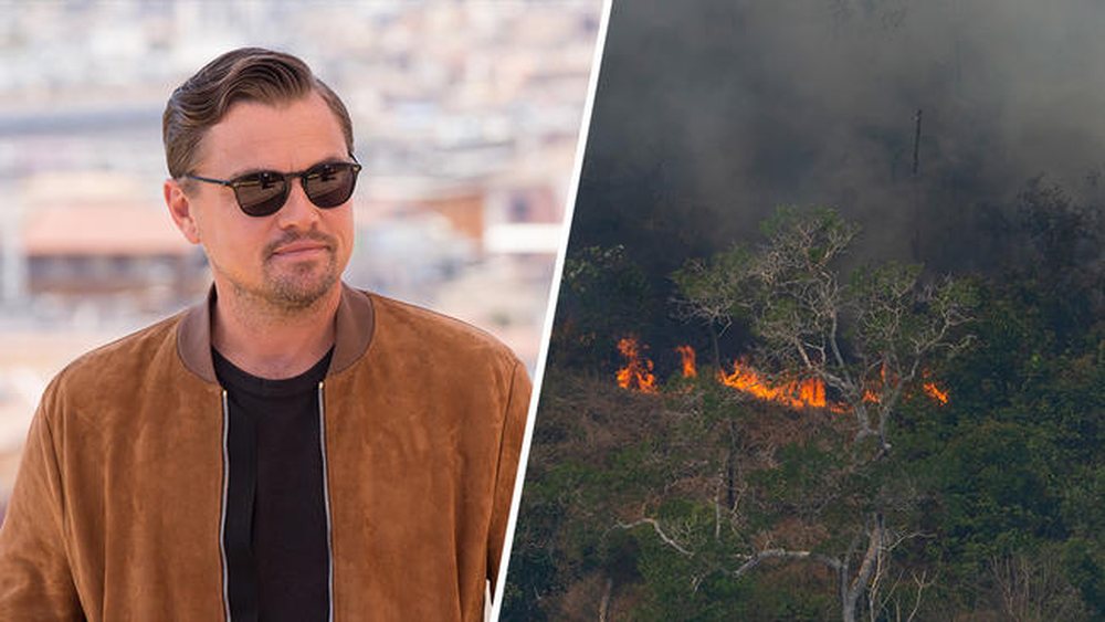 Leonardo DiCaprio, 5 milion&euml; dollar&euml; p&euml;r Amazonian