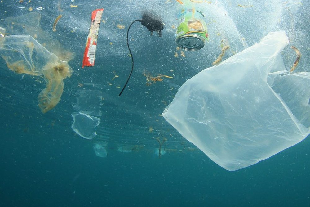 Bakteri q&euml; i kthen mbetjet plastike n&euml; uj&euml;