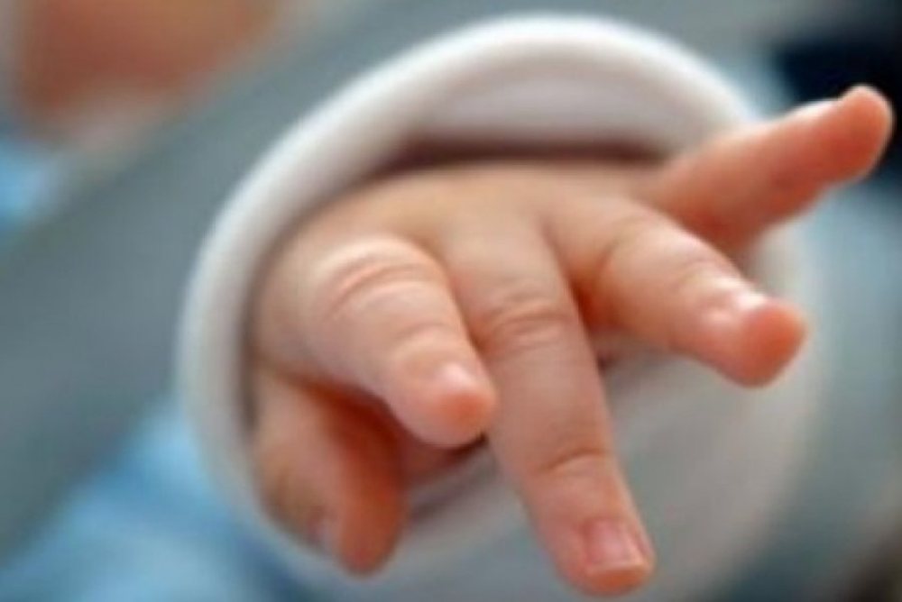 Shqip&euml;ria n&euml; emergjenc&euml; demografike, lindjet sh&euml;nojn&euml;