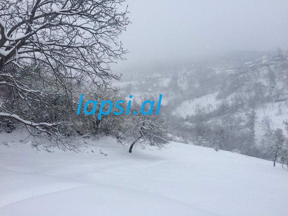 FOTO+VIDEO/ Dim&euml;r i dyt&euml; n&euml; juglindje dhe veri, d&euml;bora arrin