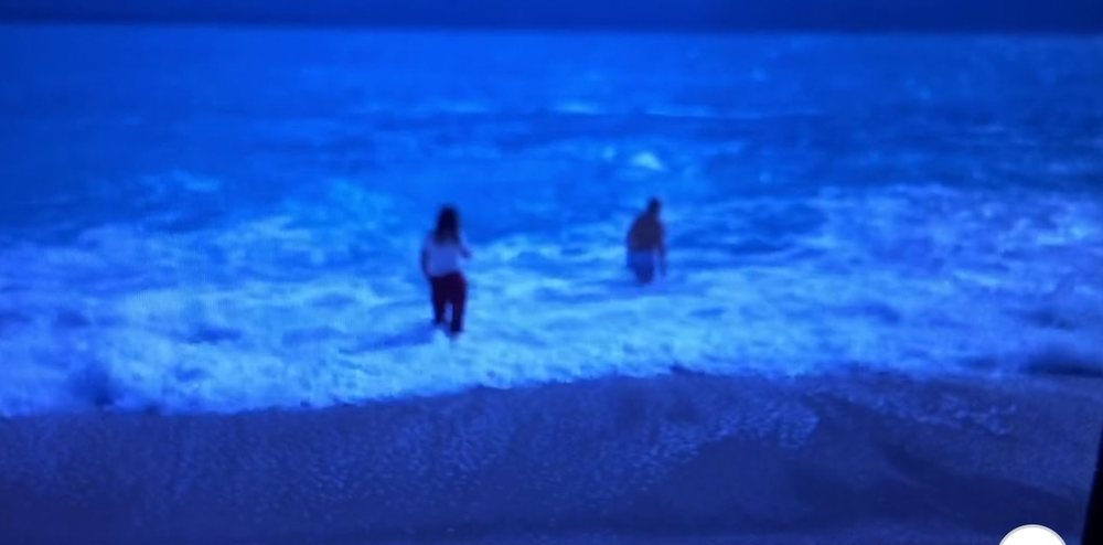 Vittorio Sgarbi rrezikon t&euml; mbytet n&euml; plazhin e Palas&euml;s (VIDEO)