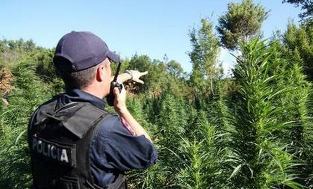 Raporti Europian: Trafikant&euml;t e drog&euml;s n&euml; Shqip&euml;ri t&euml;