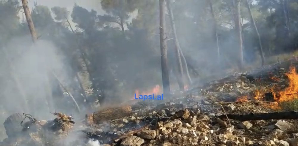 Tjet&euml;r vat&euml;r zjarri n&euml; Krast&euml; (VIDEO)