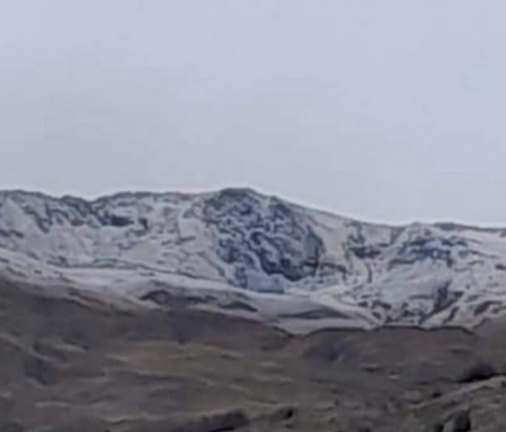 Bie d&euml;bora e par&euml; n&euml; Juglindje t&euml; vendit