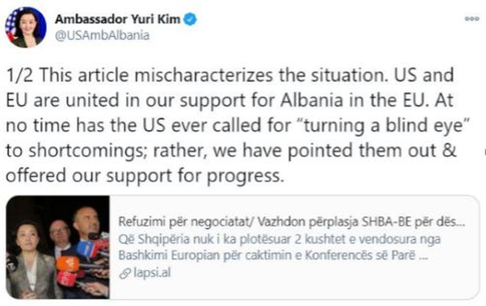 Yuri Kim: "Lapsi.al e paraqet situat&euml;n n&euml; m&euml;nyr&euml;