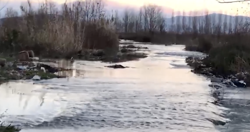 Bashkia e Shkodr&euml;s: 1330 hektar&euml; sip&euml;rfaqe tok&euml; e