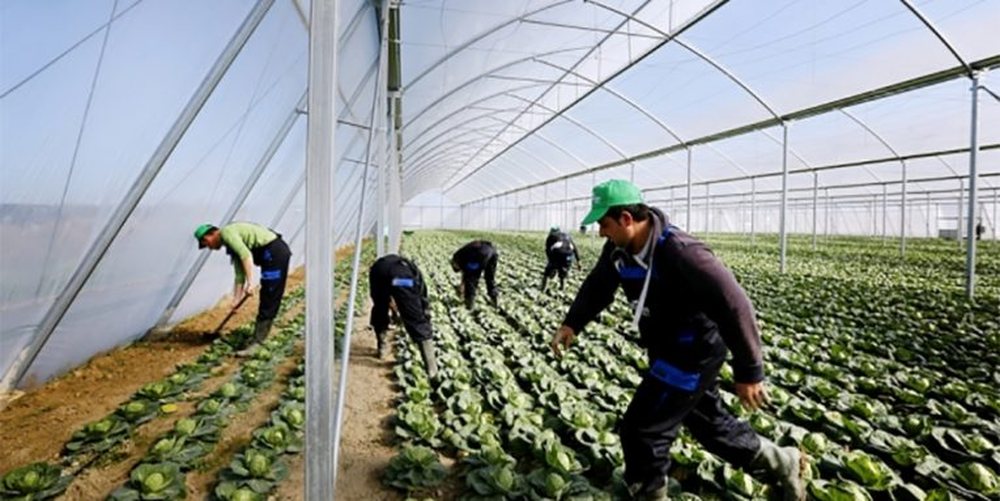 Si do t&euml; p&euml;rfitojn&euml; shqiptar&euml;t, Greqia njofton p&euml;r 65