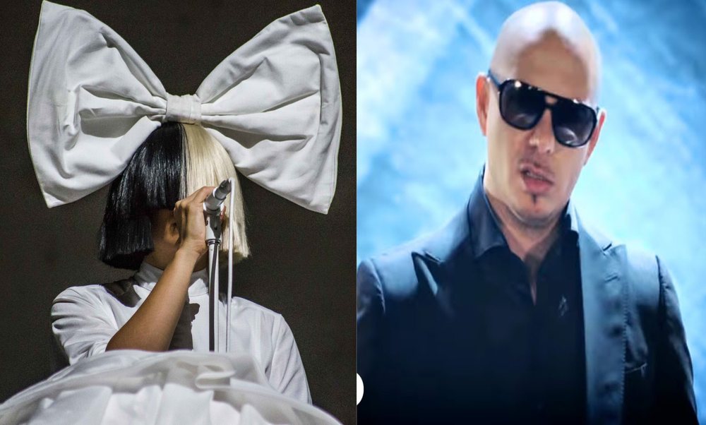Pitbull vs Sia/ K&euml;ng&euml;t e PS dhe PD p&euml;r fushat&euml;n elektorale