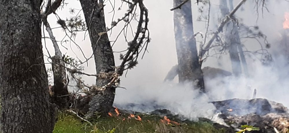 Vijojn&euml; ende flak&euml;t n&euml; Malin e Tomorit, dy t&euml; arrestuar nga