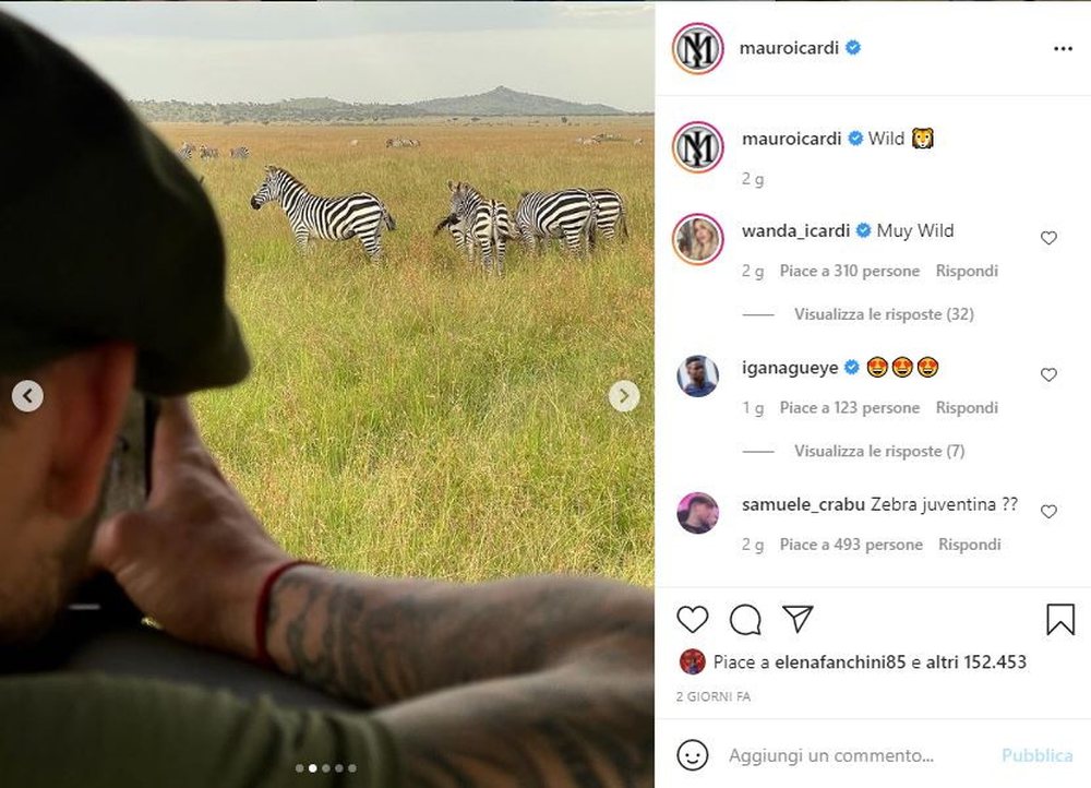 Foto zebrave n&euml; Afrik&euml;: Icardi nis 'ethet' e merkatos