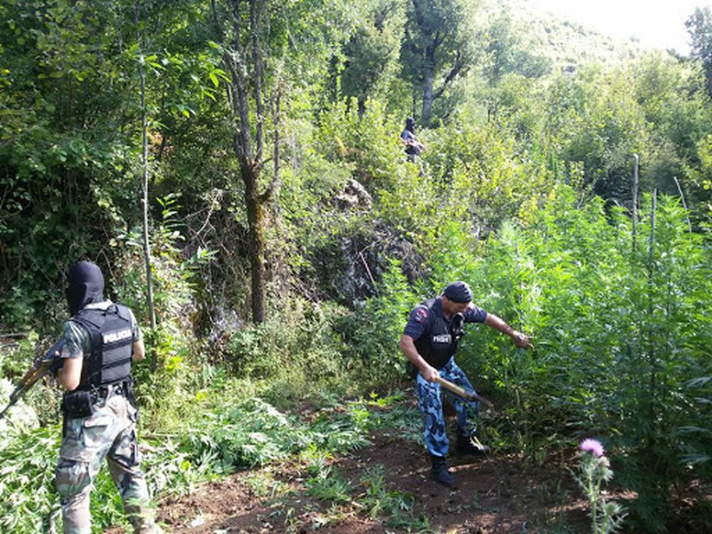 Operacioni i italian&euml;ve/ Ish-polici i Fierit ishte i arrestuar p&euml;r 2.5