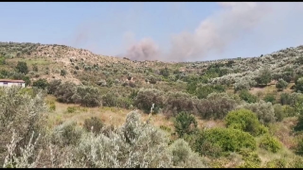 Zjarr n&euml; Lushnj&euml;, flak&euml;t shkrumbojn&euml; kodr&euml;n me ullinj