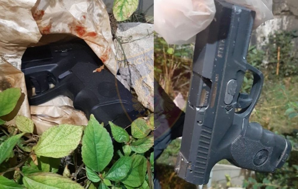 Arrestohen autor&euml;t e plagosjes s&euml; dyfisht&euml; tek zona e Parkut