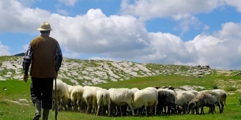 Estrad&euml; nga Rilindja/ Ministrja e Bujq&euml;sis&euml; prezanton projektin e
