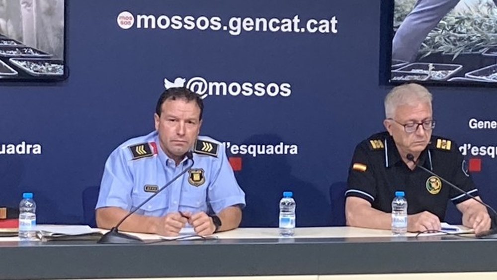Shqiptar&euml;t kultivues t&euml; marijuan&euml;s edhe n&euml; Barcelona,