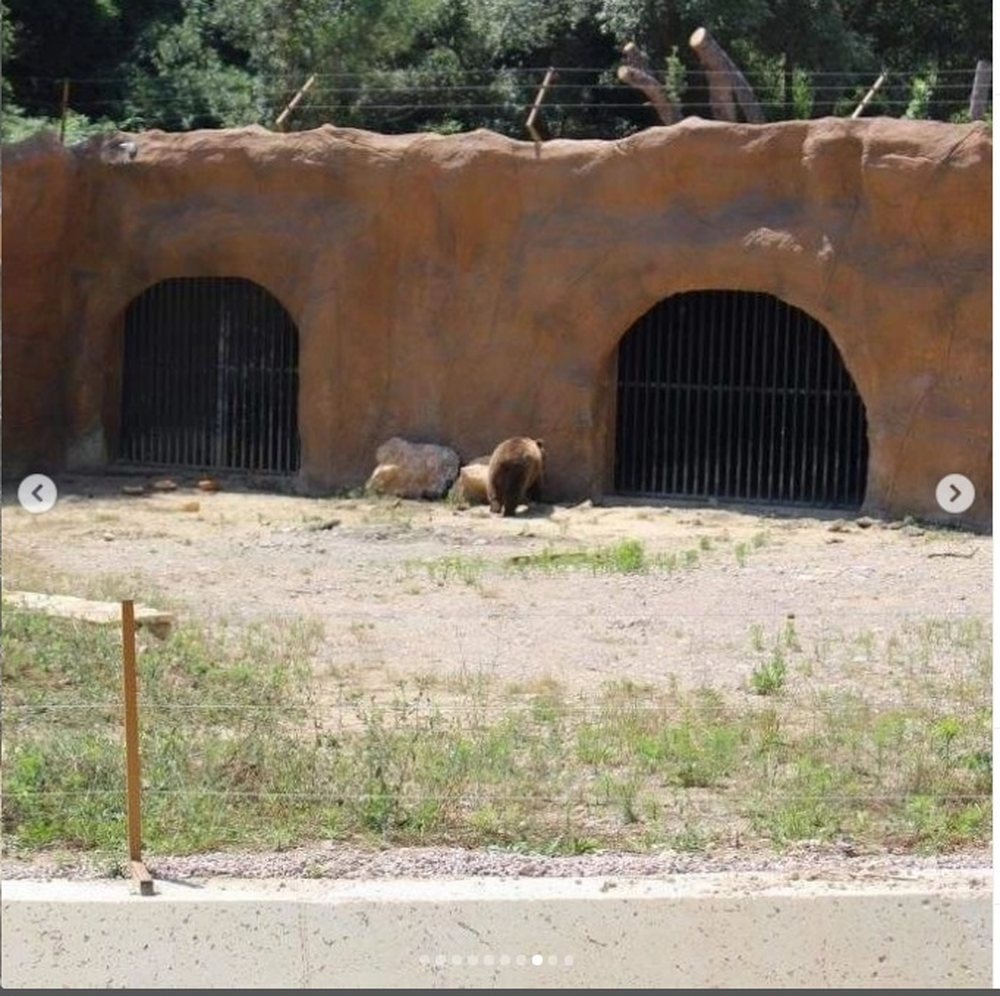 FOTO/ &ldquo;ArsAlbania&rdquo;: Kushte skandaloze n&euml; Kopshtin Zoologjik