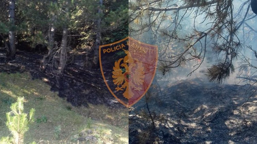 Dogji me zjarr nj&euml; sip&euml;rfaqe t&euml; madhe pyjore, procedohet