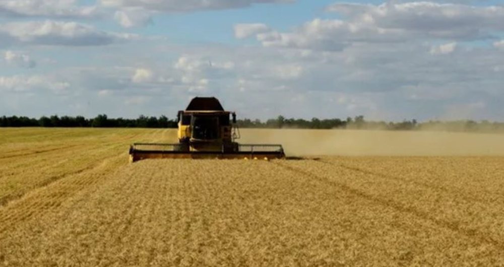 Rusia: Vet&euml;m 3% e grurit t&euml; eksportuar nga Ukraina ka arritur n&euml;