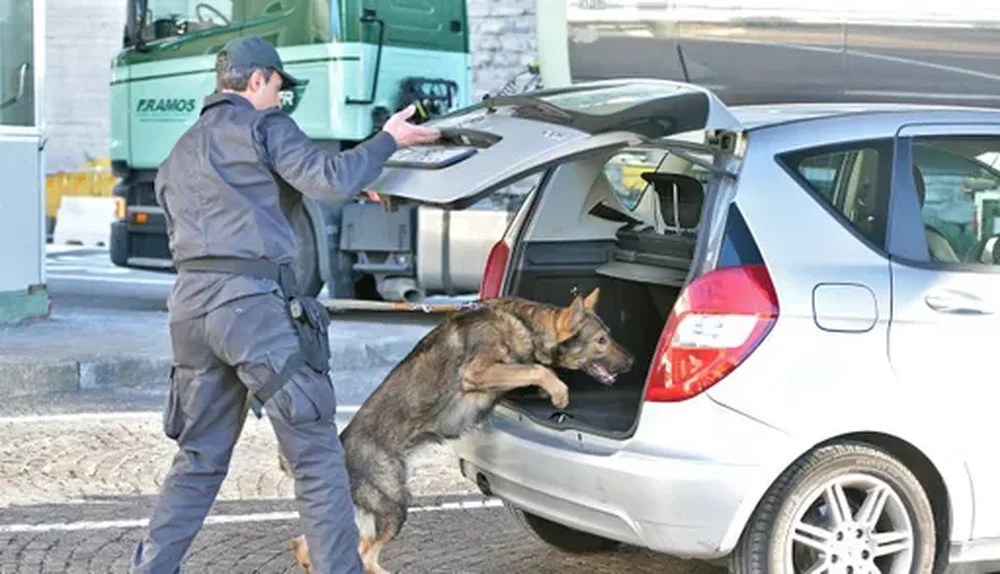 Itali, &ccedil;ifti shqiptar arrestohet p&euml;r drog&euml;
