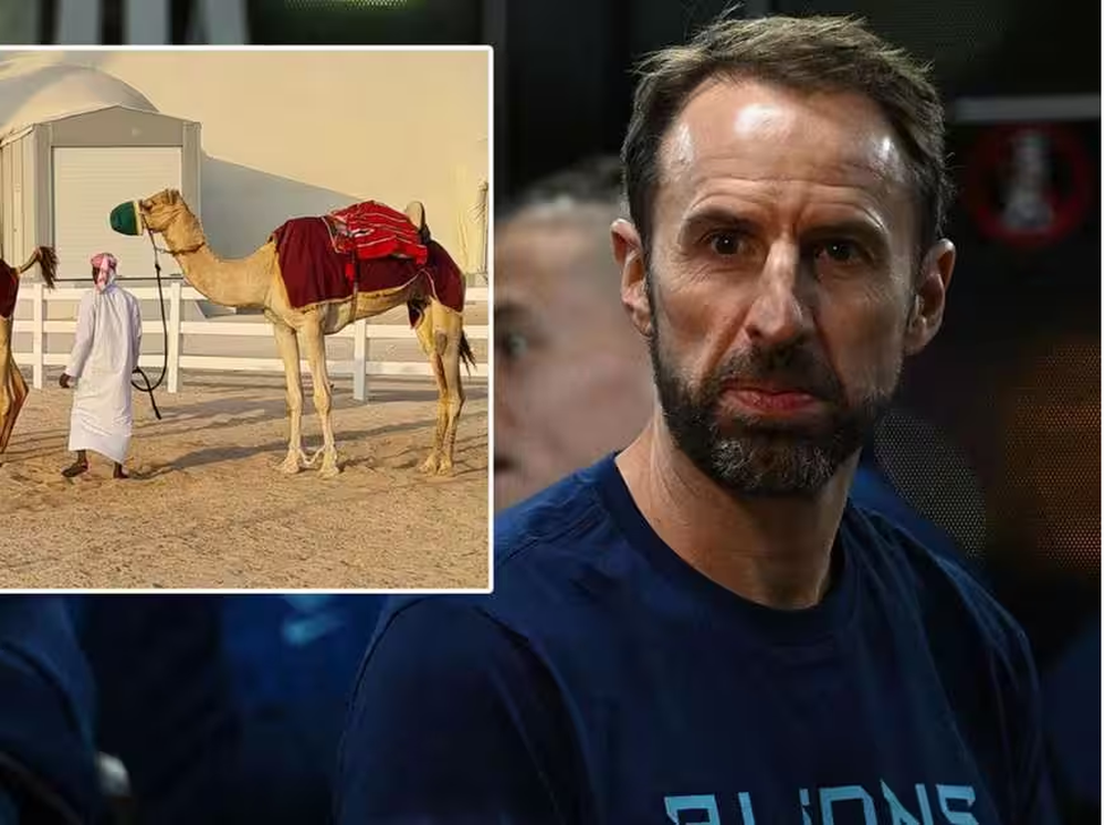 Zgjodhi grumbullimin jasht&euml; Dohas p&euml;r qet&euml;si: Anglia e p&euml;son
