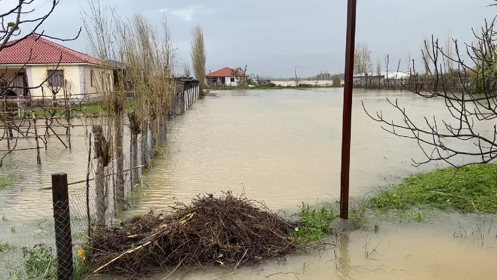 Situata pas p&euml;rmbytjeve n&euml; Lezh&euml;, 880 hektar&euml; tok&euml;
