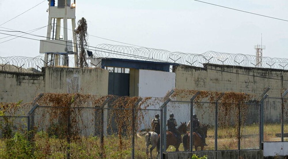 P&euml;rleshen bandat rivale n&euml; burgun e Ekuadorit, t&euml; pakt&euml;n 10