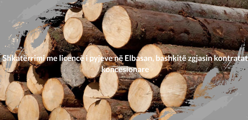 Shkat&euml;rrimi me licenc&euml; i pyjeve t&euml; Elbasanit, zgjaten koncesionet