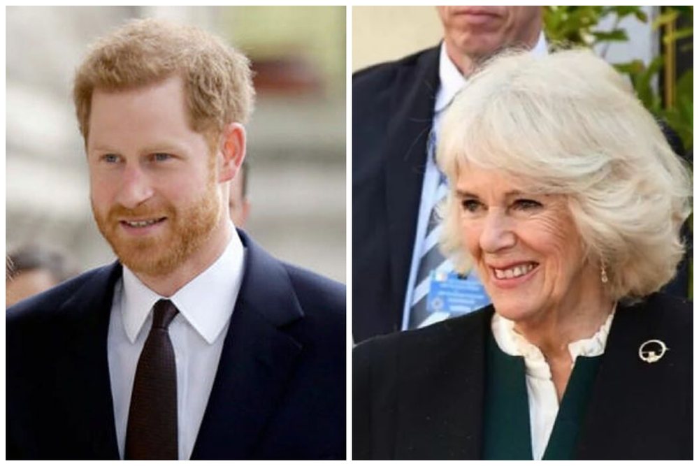 Camilla, e tronditur nga akuzat e Harry