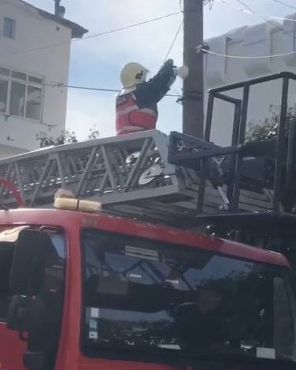 P&euml;rdoreshin nga grupe kr&igrave;minale n&euml; Tiran&euml;/ Policia