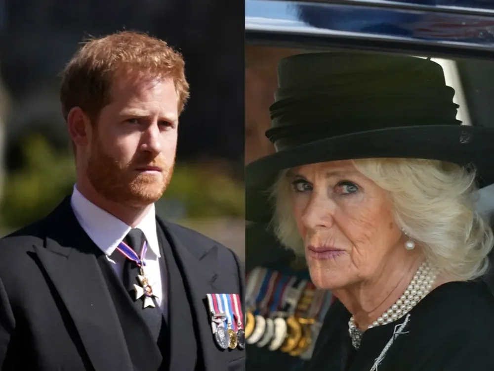 Princ Harry flet p&euml;r Camilla-n: Njeri i keq