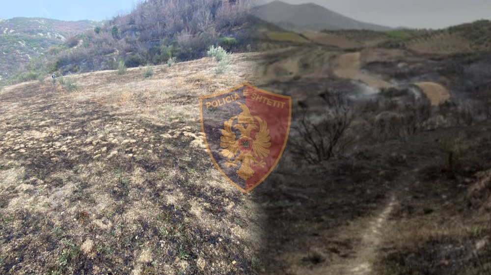 Zjarret n&euml; Fier/ Arrestohet 40-vje&ccedil;ari, procedohet nj&euml;