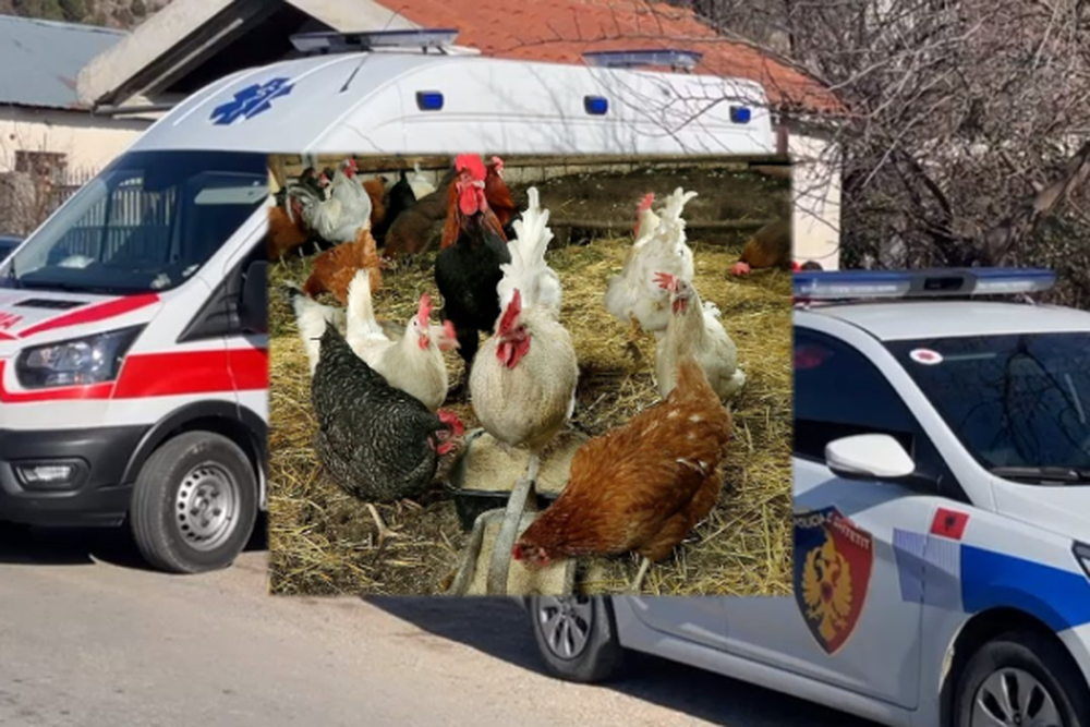 I zoti i sht&euml;pis&euml; e masakroi pasi e kapi duke vjedhur dy pula, hajduti
