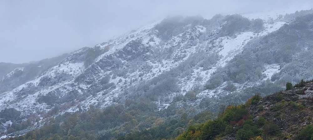 Nis d&euml;bora n&euml; Librazhd (VIDEO)