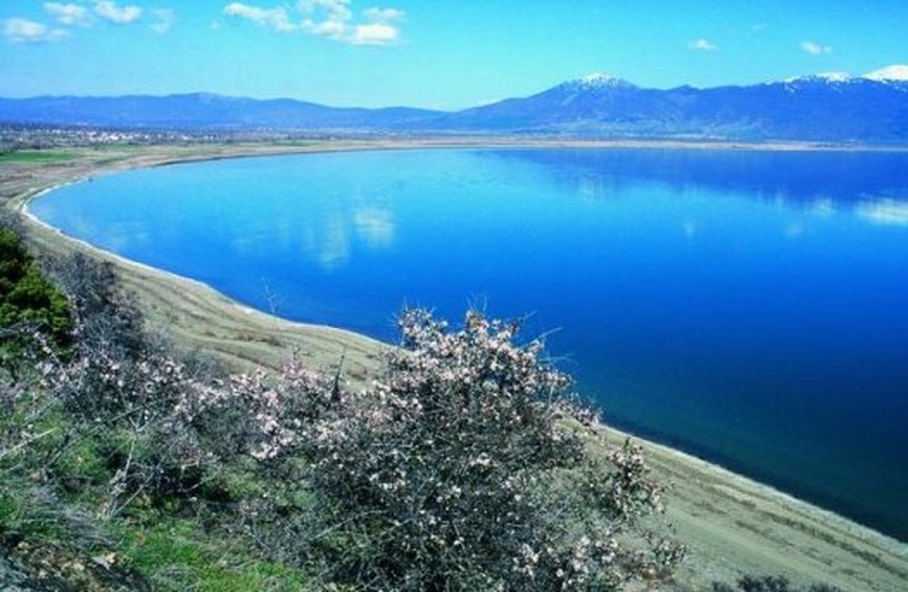 Hyri t&euml; lahej n&euml; liqenin e Pogradecit, nd&euml;rron jet&euml;