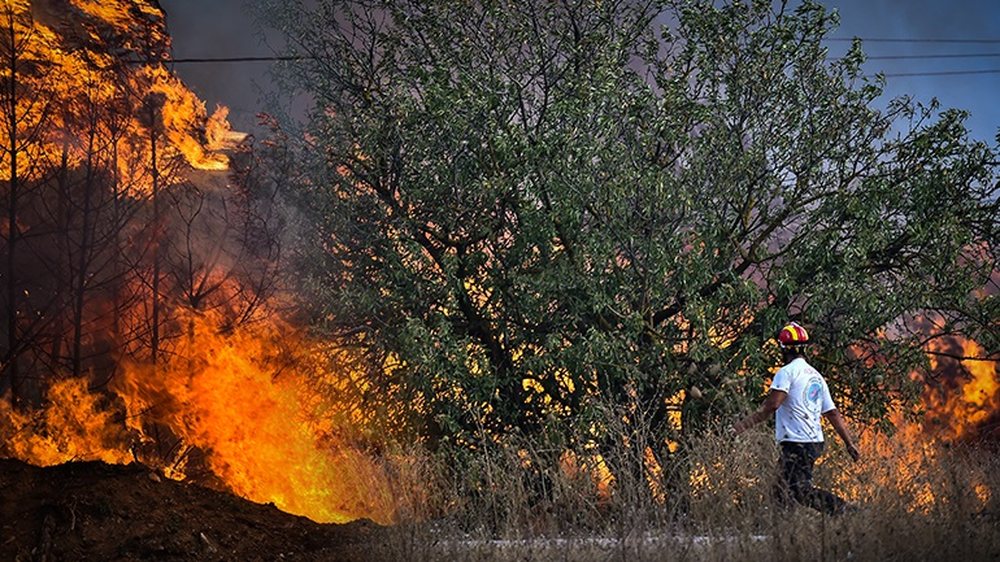 Zjarret n&euml; Greqi, evakuohen edhe 8 fshatra