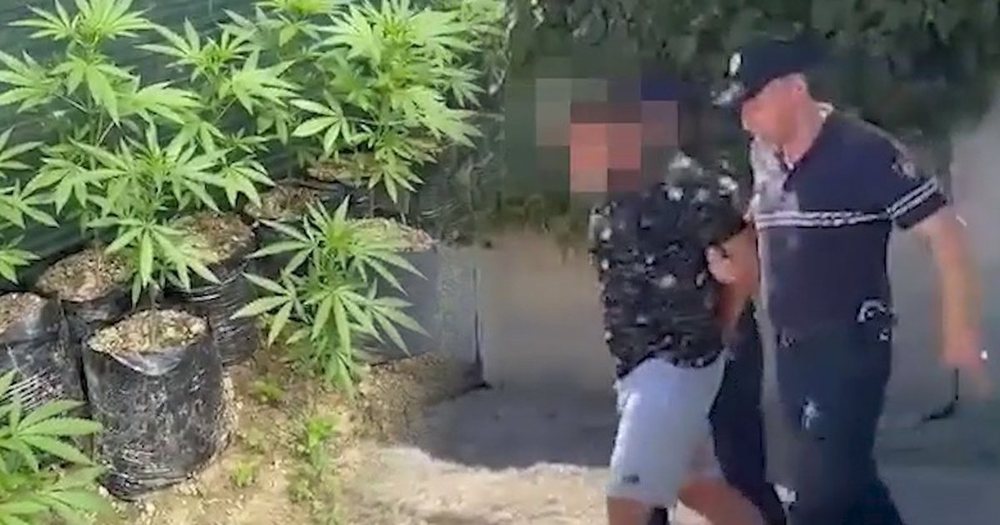 Droga n&euml; repartin e Zall Herr/ Zbardhen d&euml;shmit&euml; e