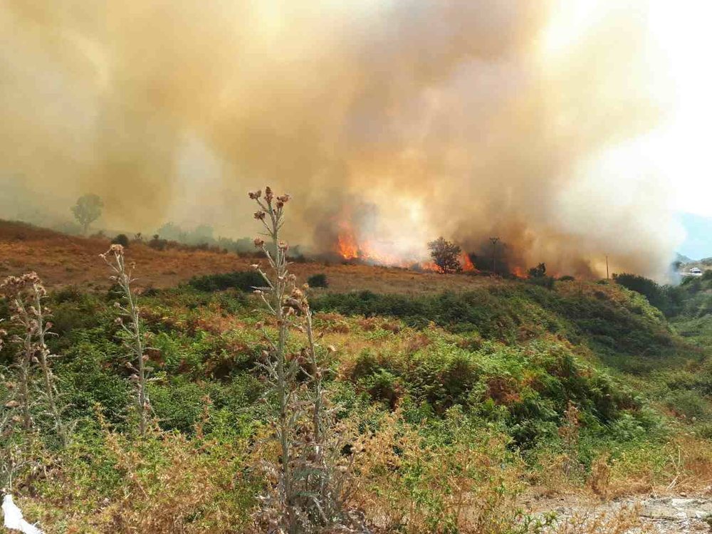 4 ha kullot&euml; p&euml;rfshihen nga zjarri n&euml; Gjirokast&euml;r,