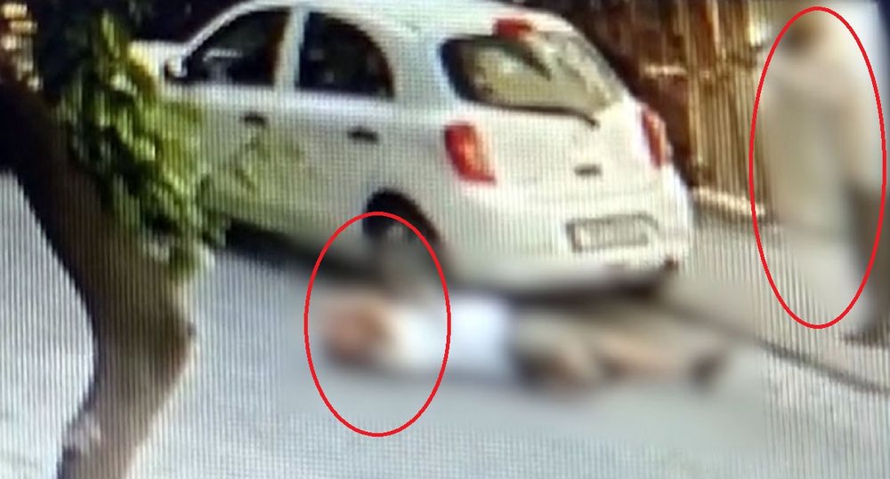 D&euml;shmit&euml; tragjike/ &Ccedil;far&euml; than&euml; shqiptari dhe greku