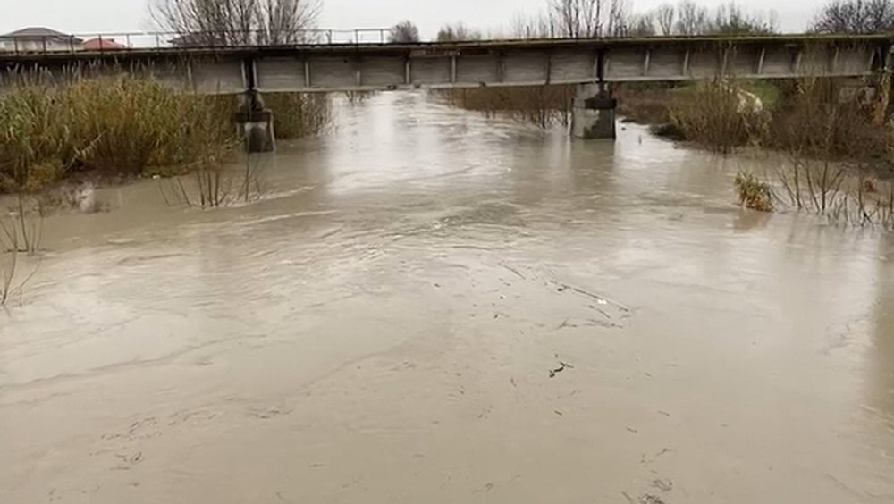 Reshje t&euml; dendura shiu, lumi Ish&euml;m del nga shtrati