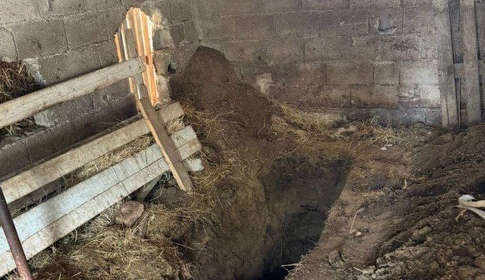Pamje t&euml; r&euml;nda/ Kasollja e lop&euml;s ku f&euml;mij&euml;t