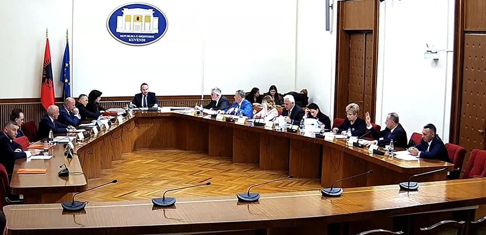 Hetimi p&euml;r nd&euml;rhyrjet n&euml; TIMS/ Salianji: Do shihni