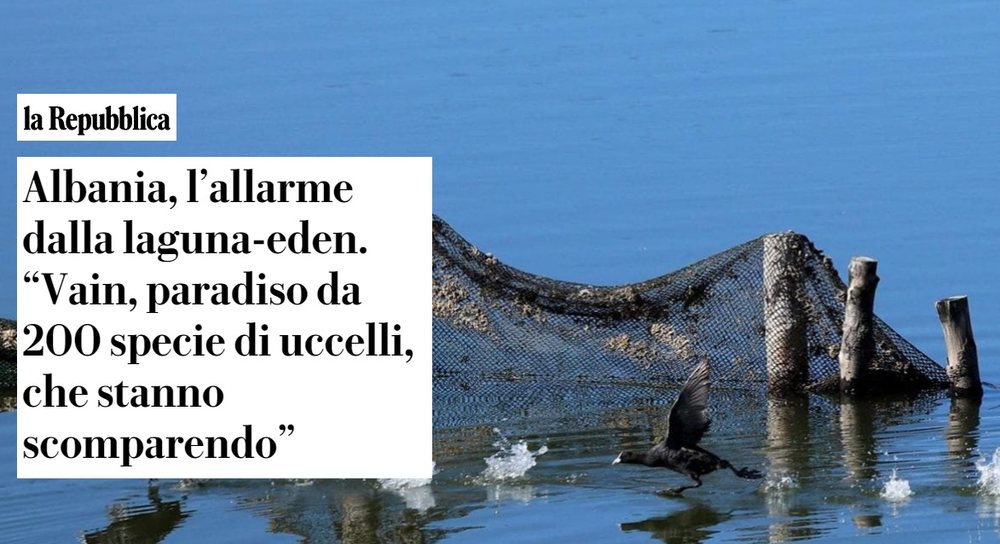 &ldquo;La Repubblica&rdquo;: Si po zhduken shpend&euml;t nga laguna e Kune