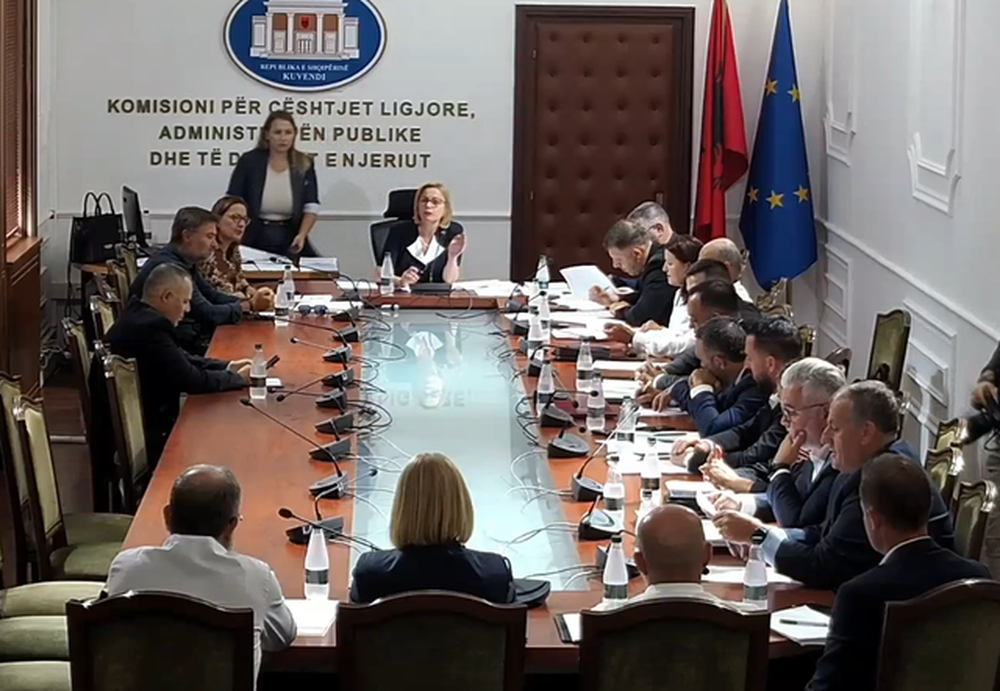 Plas te Komisioni i Ligjeve/ &Ccedil;upi: T&rsquo;ju vij&euml; turp e t&euml;