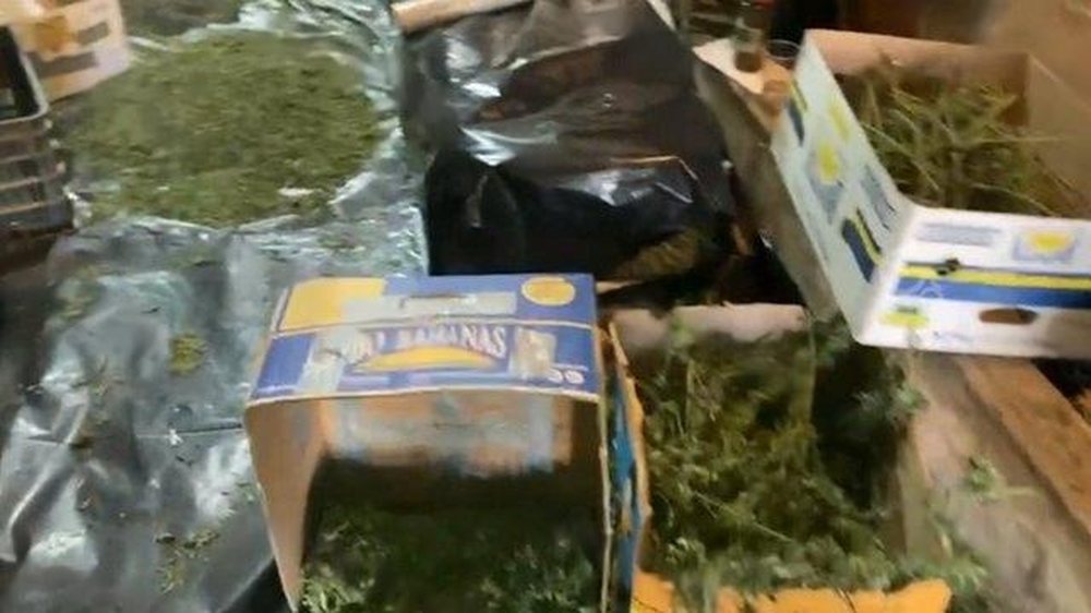 EMRAT/ Policia jep detaje p&euml;r magazin&euml;n e kanabisit n&euml;