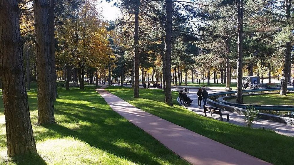 Kor&ccedil;&euml;/ Gjendet pa shenja jete nj&euml; i moshuar