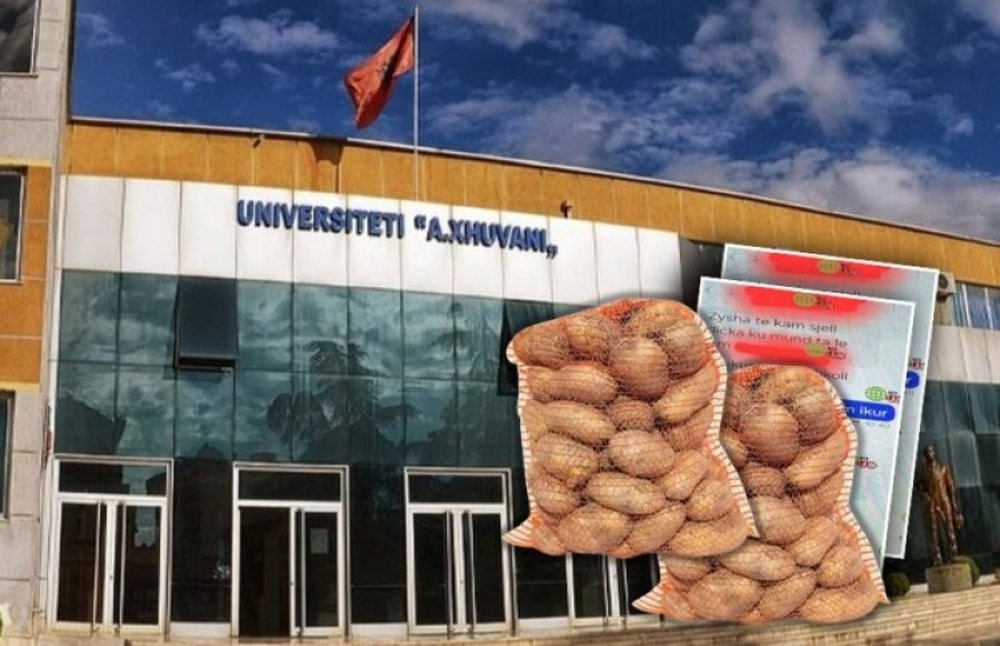 Korrupsioni banal/ Gjykata liron pedagog&euml;t dhe i d&euml;rgon n&euml; SPAK