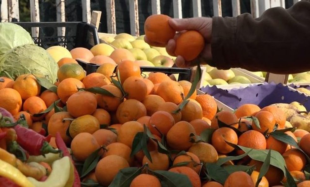 Pesticidet n&euml; mandarinat e Shqip&euml;ris&euml;/ Ministria e
