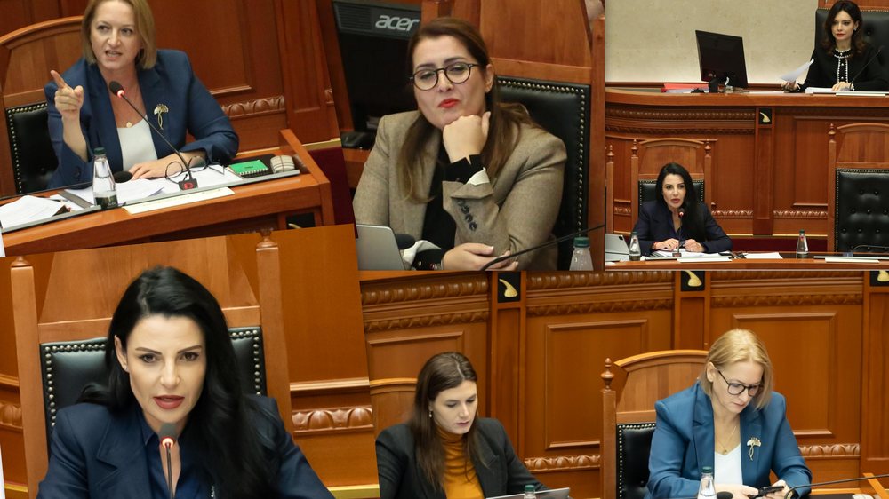 Berisha: &Ccedil;antat e ministreve Hermes, Birkin, Bottega Venetto, Louis