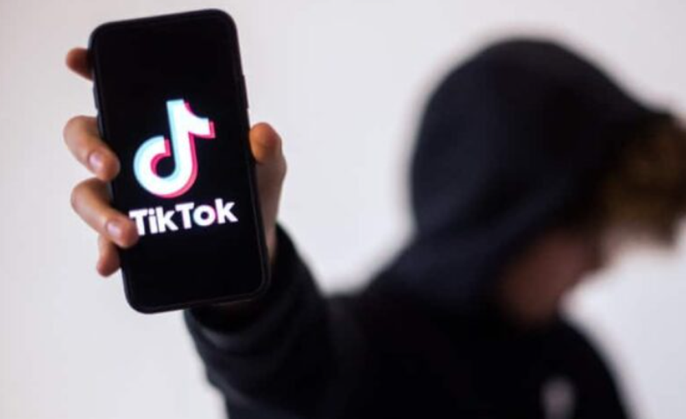 T&euml; rinjt&euml; shqiptar&euml;/ 1.5 milion&euml; p&euml;rdorues t&euml;